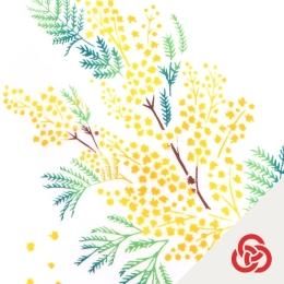 春の花圃