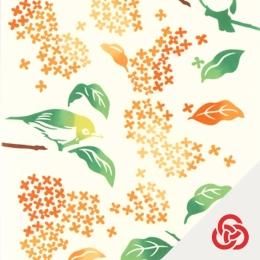 秋の花圃