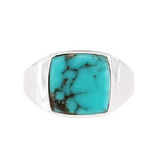 ڥʥ꥿ѡSV925///SIGNET RING/