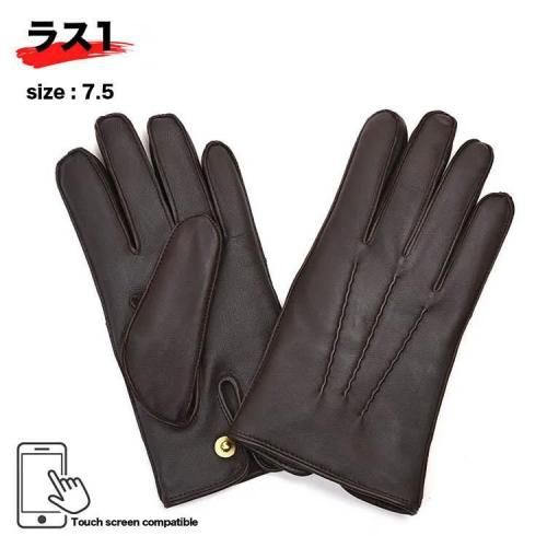 ǥ 15-1134 إ ӥåȥե(å꡼) BROWN()   DENTS