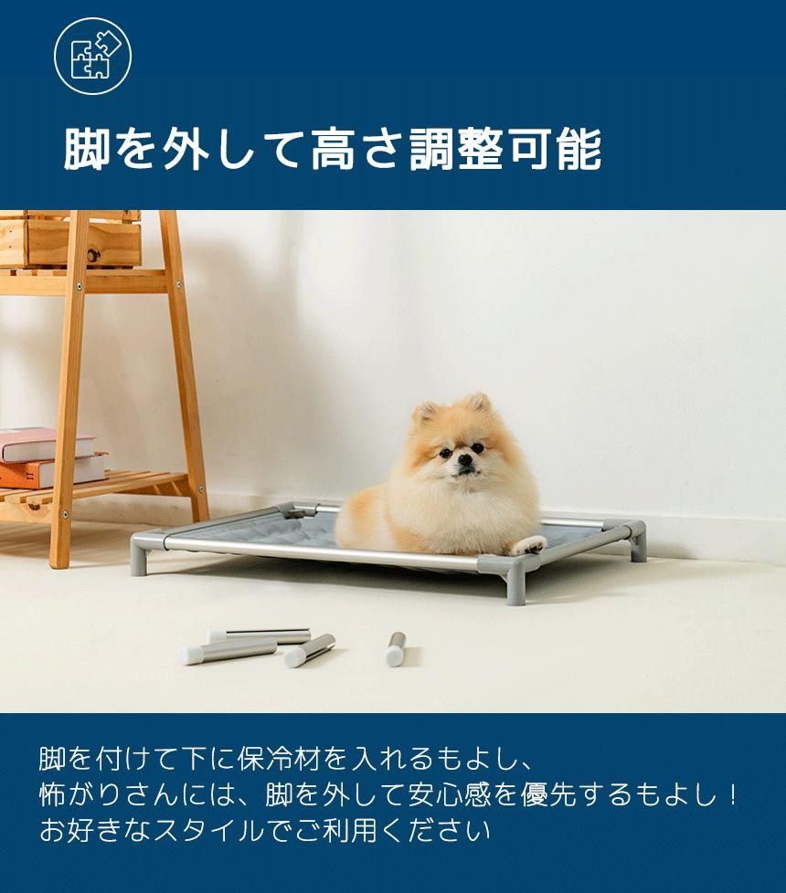 ⤵Ĵǽ