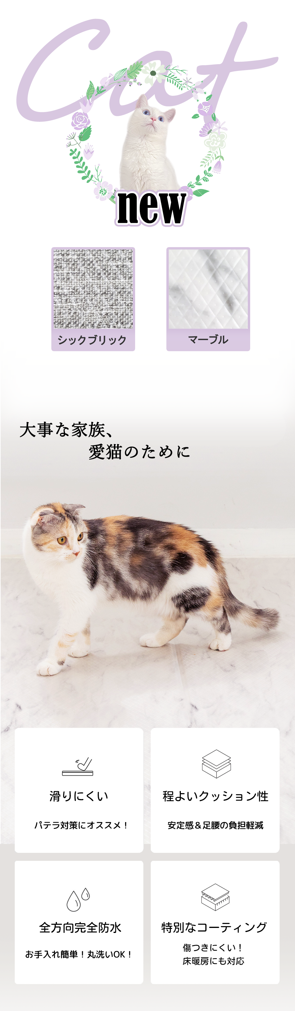 ʲ²ǭΤ