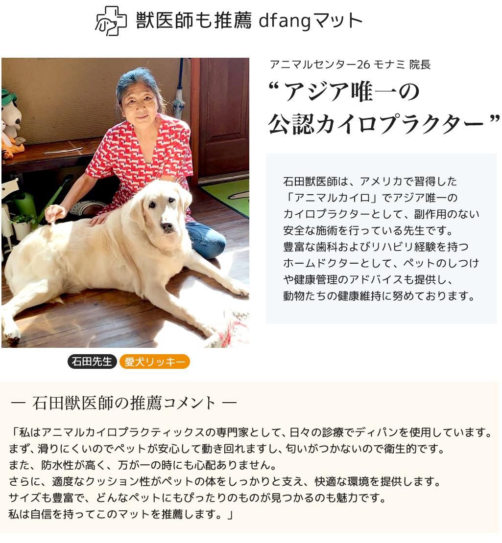 ˥ޥ륻󥿡26 ʥ Ĺ 