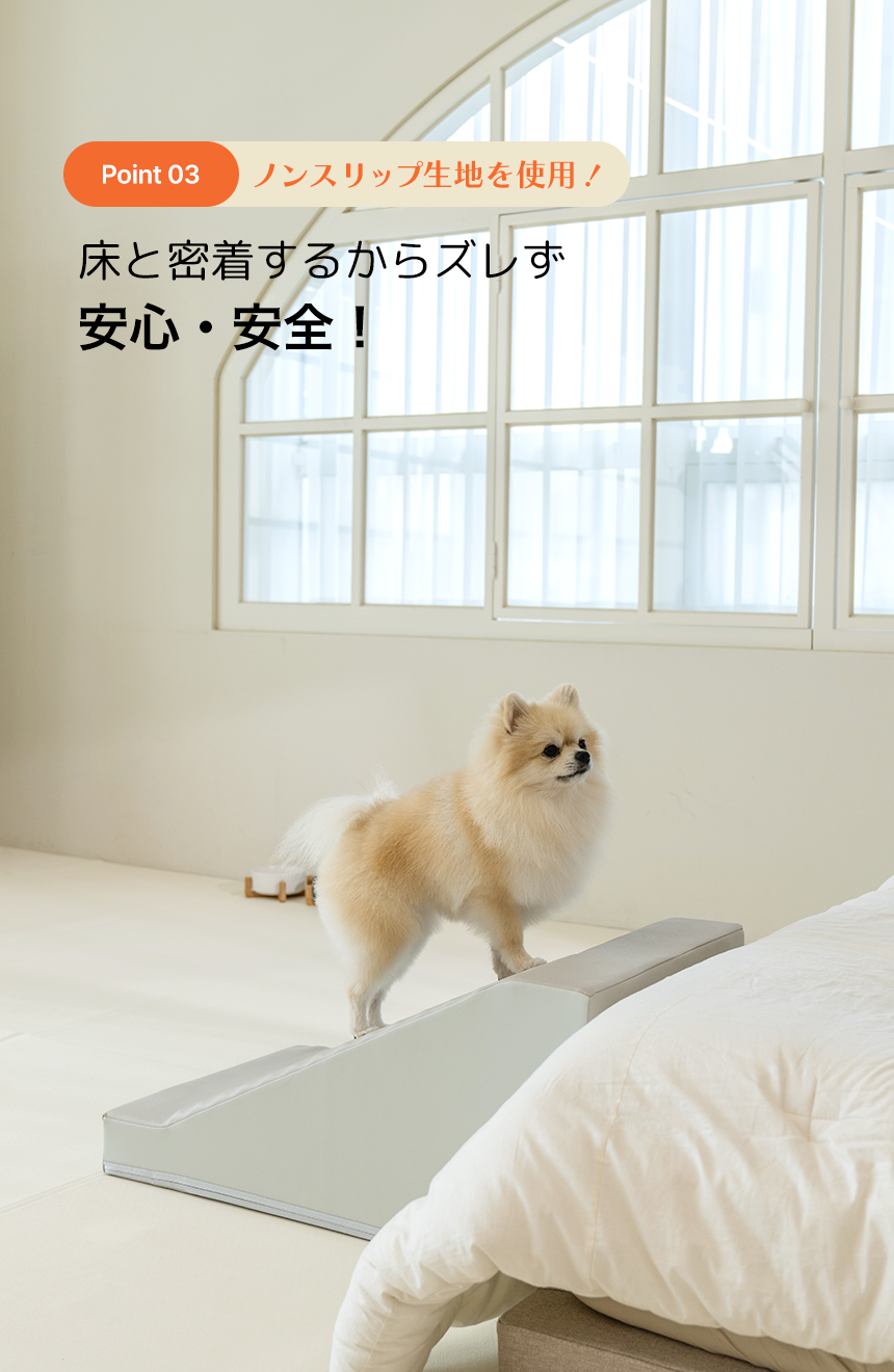 Point03 ̤Υ󥹥å