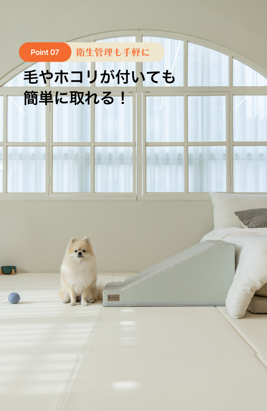 ӡۥ꤬դƤñ˼롪