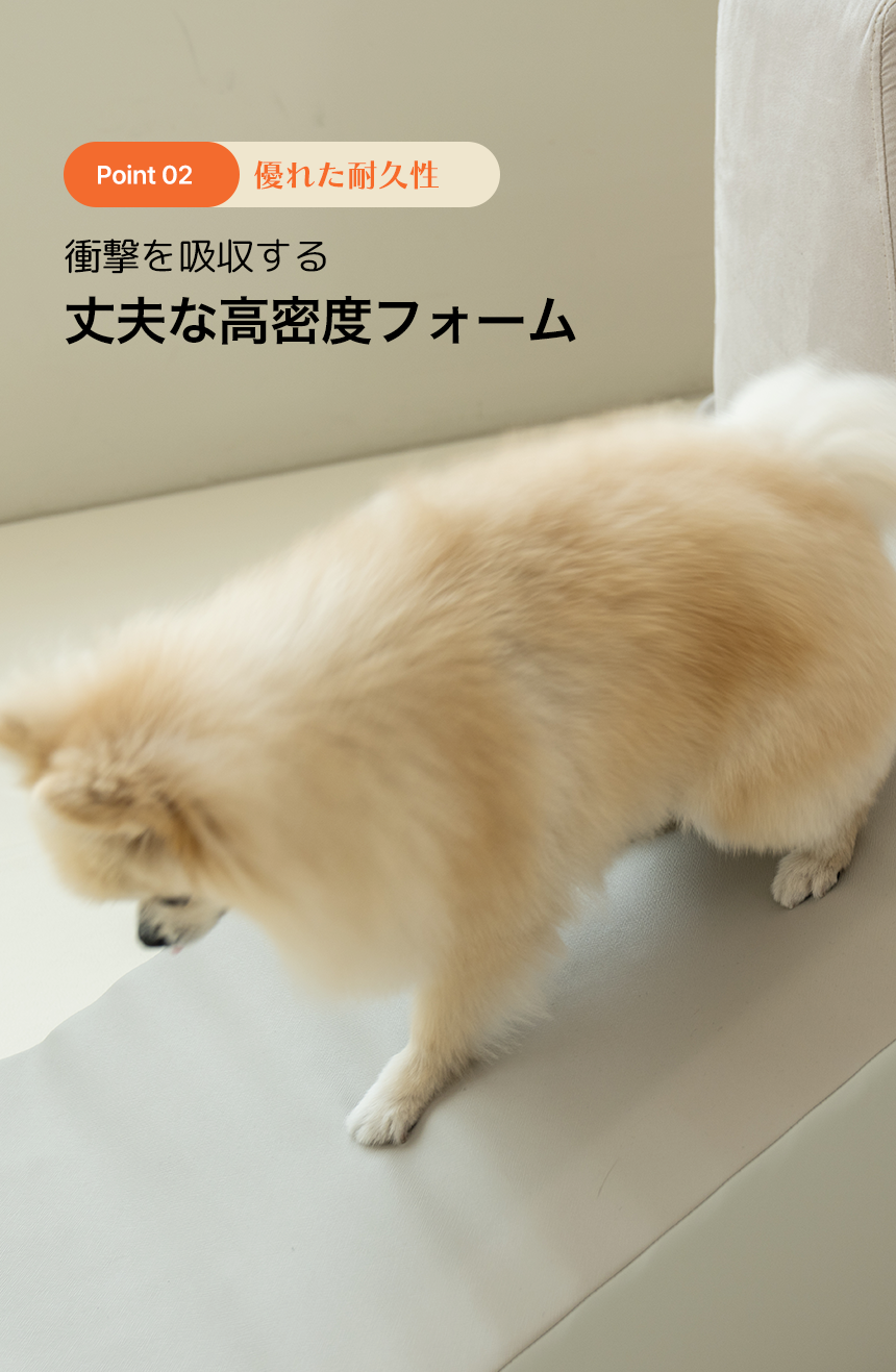 Point02 ͥ줿ѵ