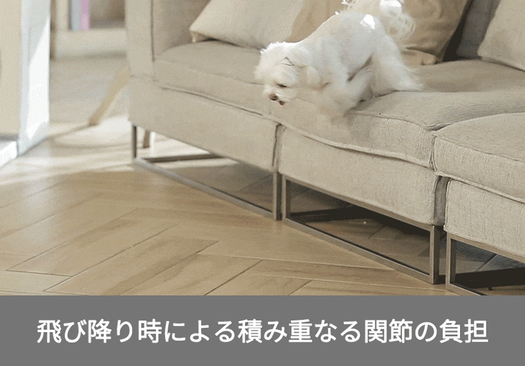 ­ô