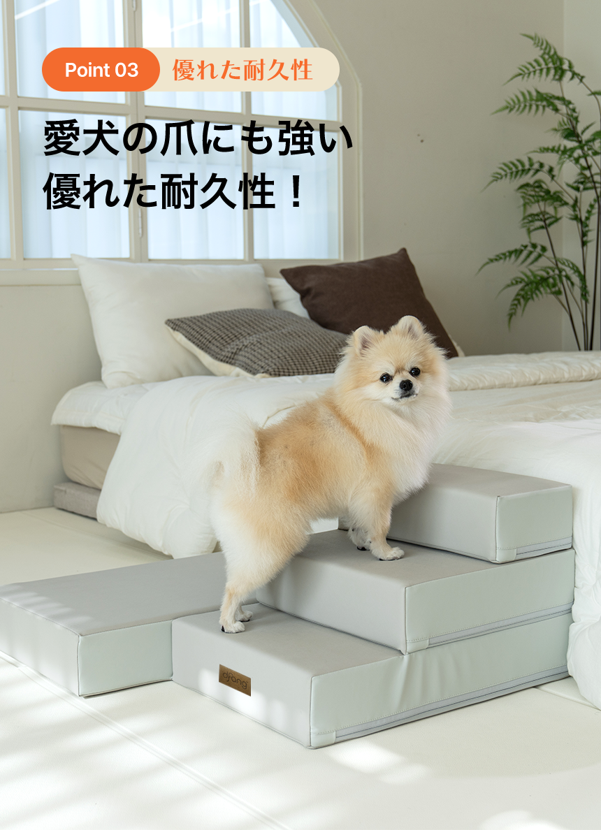 Point03 ޤˤ⶯ͥ줿ѵ
