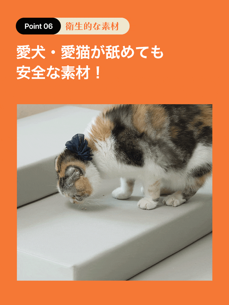 Point06 ŪǺ