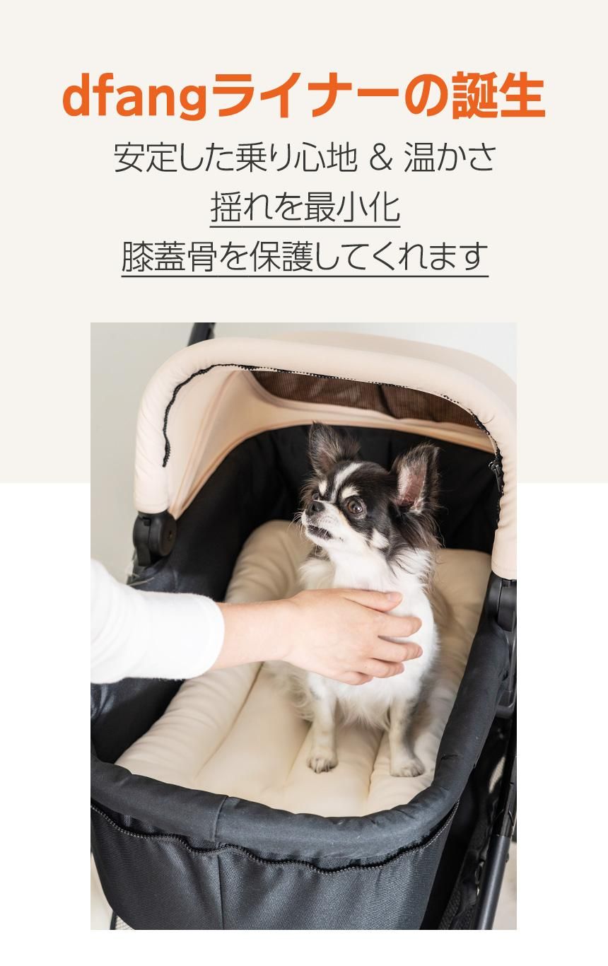 ǥѥ饤ʡ