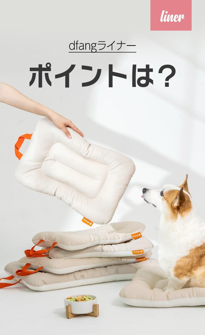 dfang饤ʡ ݥȤϡ