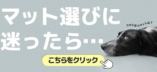 ޥåȤǺ