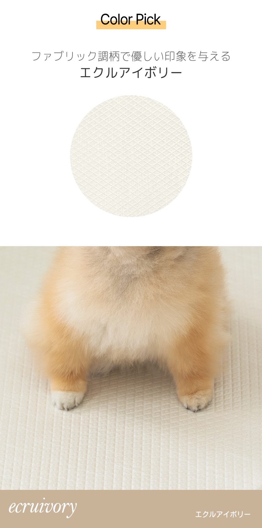 ե֥åĴϤͥ
