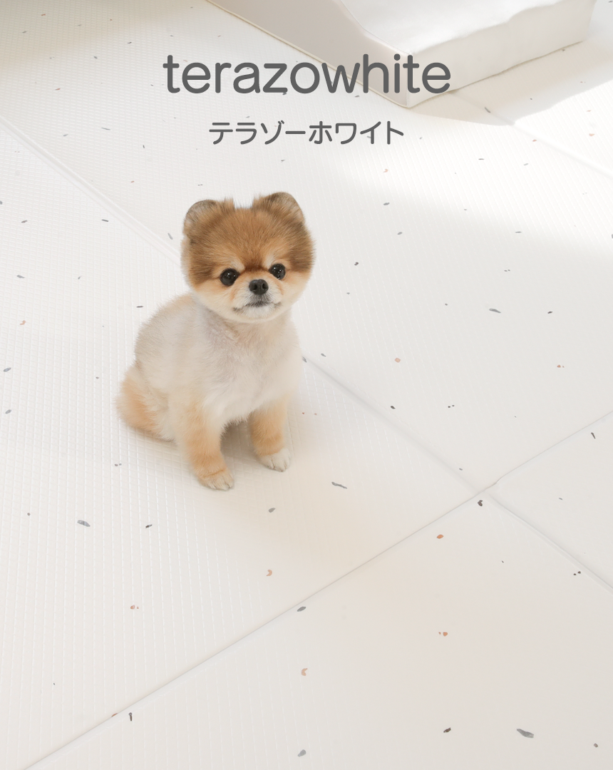 ƥ饾ۥ磻