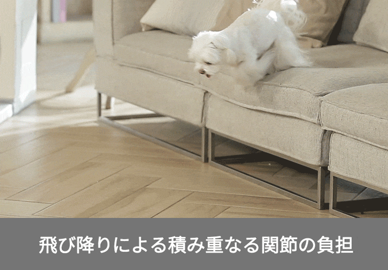 ­ô