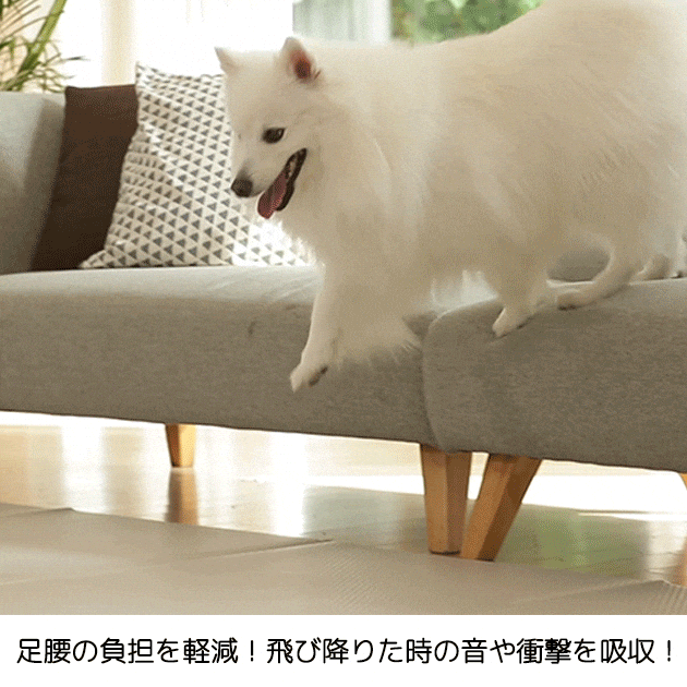 dfang お試しマット ペットプレイマット 70cm×60cm 【厚み5mm dfang お試しマット ペットプレイマット 70cm×60cm 【厚み5mm