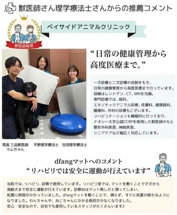 BCF2025　上位賞　プレイマット　水面下 BCF2025 上位賞 プレイマット 水面下 大会情報｜BCF2025