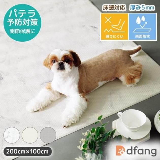dfang ǥѥ ڥåȥץ쥤ޥå ڸ5mm 饰ס200cm100cmˣξɿ ˤ ѥƥͽк ݸ