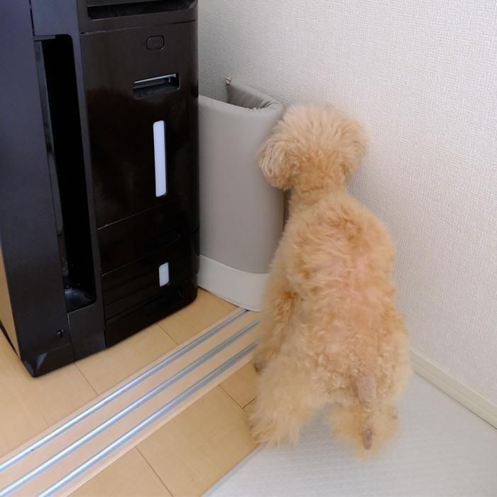 シニアケアクッションガード　挟まり防止