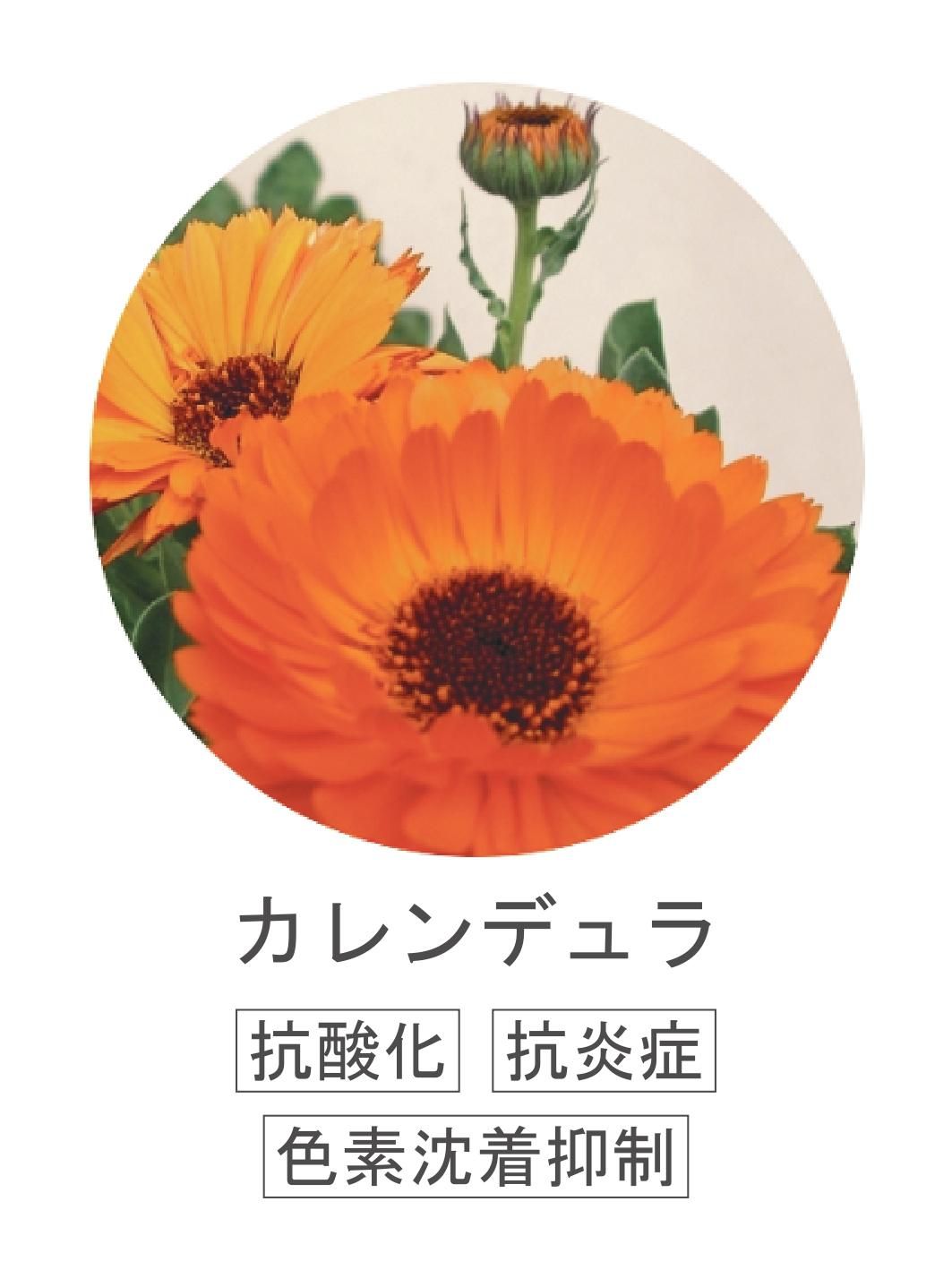 ǥ