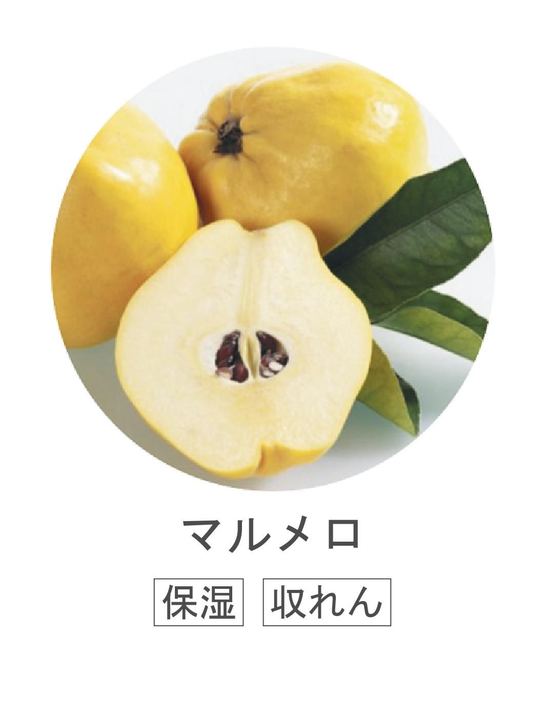 ޥ