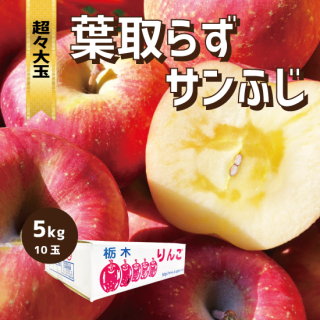 【超々大玉】 産地直送りんご サンふじ 5キロ（1段箱）10玉　4Ｌサイズ