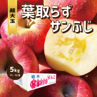 【超大玉】 産地直送りんご サンふじ 5キロ（1段箱）11・12玉　3Ｌサイズ