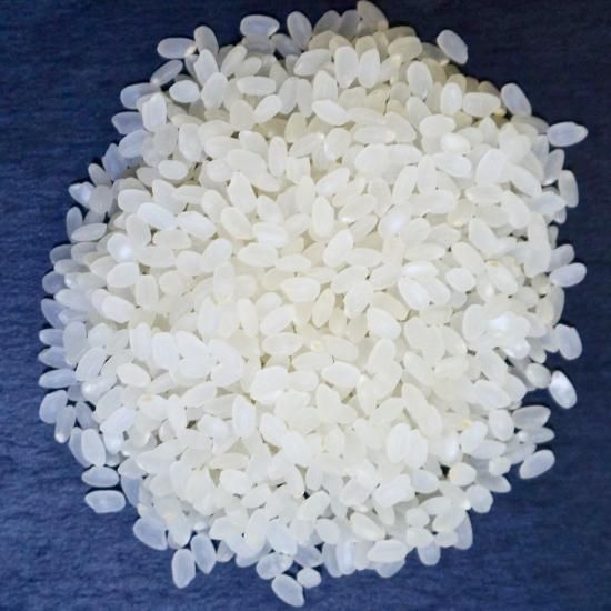 農家が自分で食べるために作った・みずほの輝き《令和6年産 10kg 農家が自分で食べるために作った・みずほの輝き《令和6年産 10kg