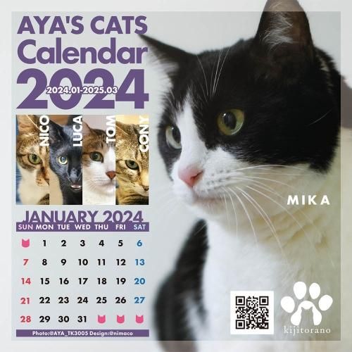 特別セーフ CATS 2024 DRAEGER ネコ カレンダーねこ 猫 新品 悔し Paris その他