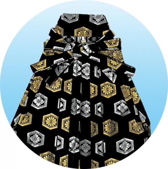 踊り用 袴 金襴 はかま 金銀 亀甲 菊 花菱 舞台衣裳に。 - 舞踊 踊り用 袴 金襴 はかま 金銀 亀甲 菊 花菱 舞台衣裳に。 - 舞踊