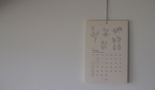 Botanical Calendar2024