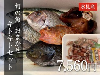 旬の魚　おまかせ　キトキトセット　7,560円