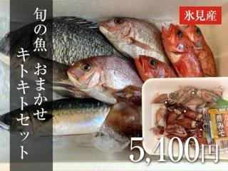 旬の魚　おまかせセット　8,000円