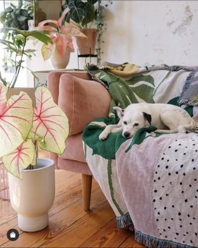 SLOWDOWN STUDIO Ashby Throw