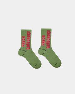 FRESH DINOSAURS GREEN SOCKS