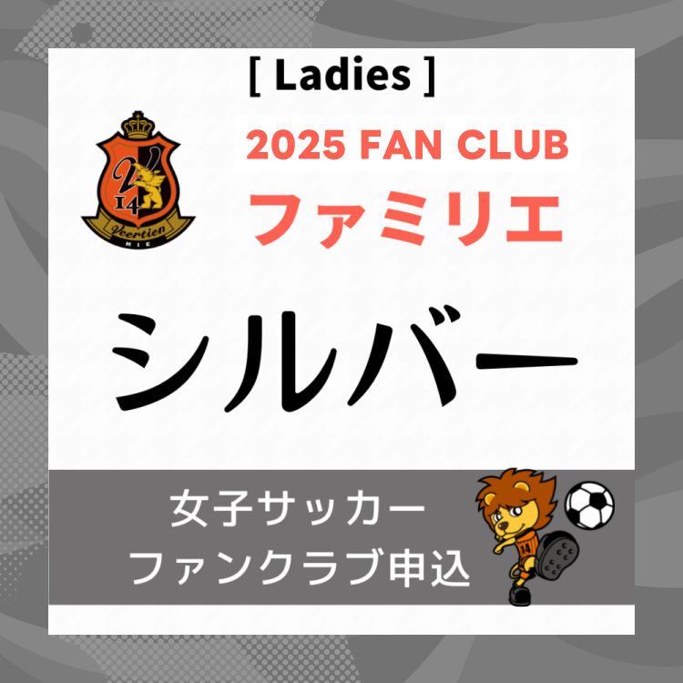 2025 ҥåեߥꥨ(С)