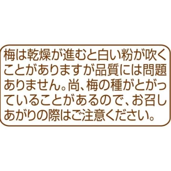 なとり 梅スッキリチャック付 14g×10入 (干し梅 ほし梅 梅干し