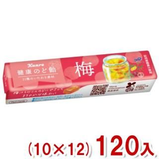 カンロ 健康のど飴 梅 スティックタイプ 11粒 (10×12)120入 (健康梅のど飴) (ケース販売) (Y10) (本州一部送料無料)