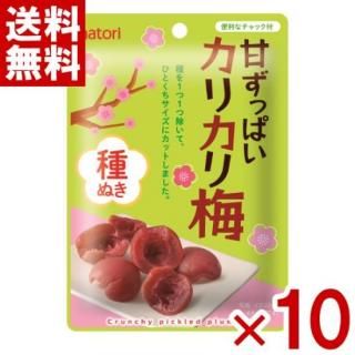 ʤȤ ŤäѤ ꥫ ̤ 22g10 (np) (new) (᡼̵)