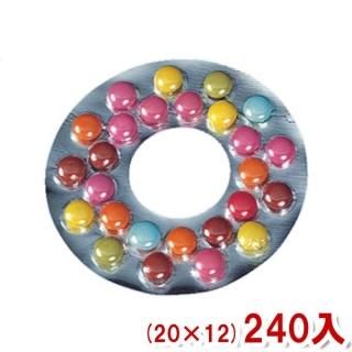 ե륿 ʤ祳졼 (2012)240 (Y10)() (̵ܽ)