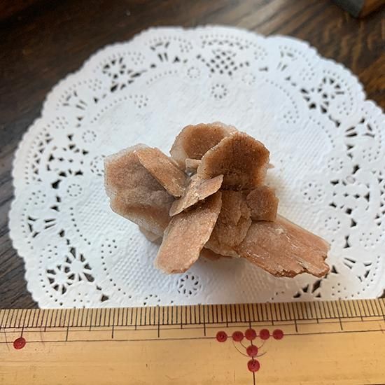 沙漠の薔薇 ゴビ砂漠の透石膏 きらら舎 沙漠の薔薇 ゴビ砂漠の透石膏 きらら舎