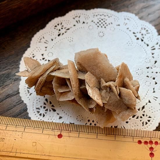 沙漠の薔薇 ゴビ砂漠の透石膏 きらら舎 沙漠の薔薇 ゴビ砂漠の透石膏 きらら舎