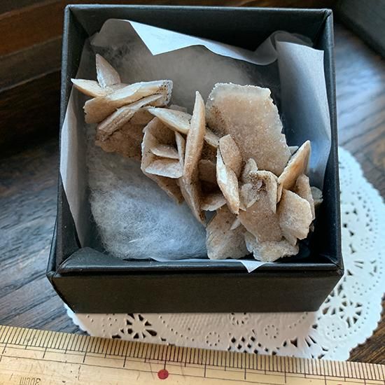 沙漠の薔薇 ゴビ砂漠の透石膏 きらら舎