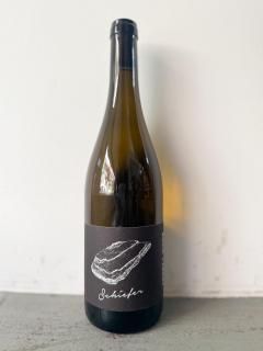 ե꡼2022磻/ եåס