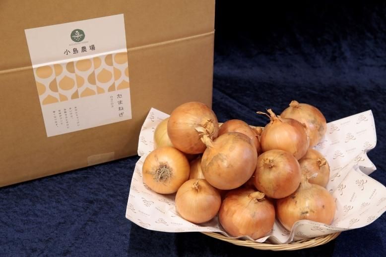 たまねぎ　5個 数量限定 美幌町”小島農場” 玉ねぎ 北もみじ2000（M～3L入れ込み