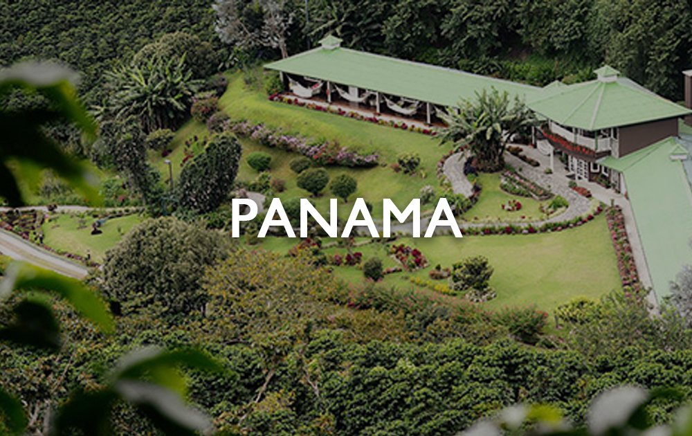 パナマ農園