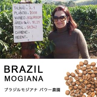 ブラジル モジアナ バウー農園 (100g) 【中浅煎り】