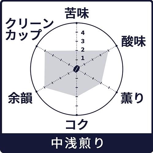 コーヒー豆】エルサルバドル サンタリタ農園｜ヒロコーヒー通販