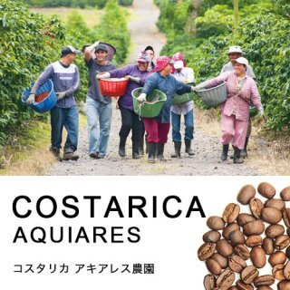 コスタリカ アキアレス農園 (100g) 【中煎り】