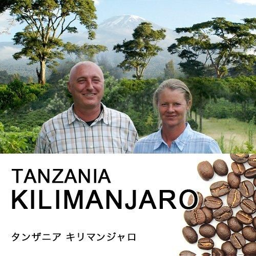お試しキリマンジャロコーヒー豆50g 等し タンザニア お試しキリマンジャロコーヒー豆50g 等し タンザニア